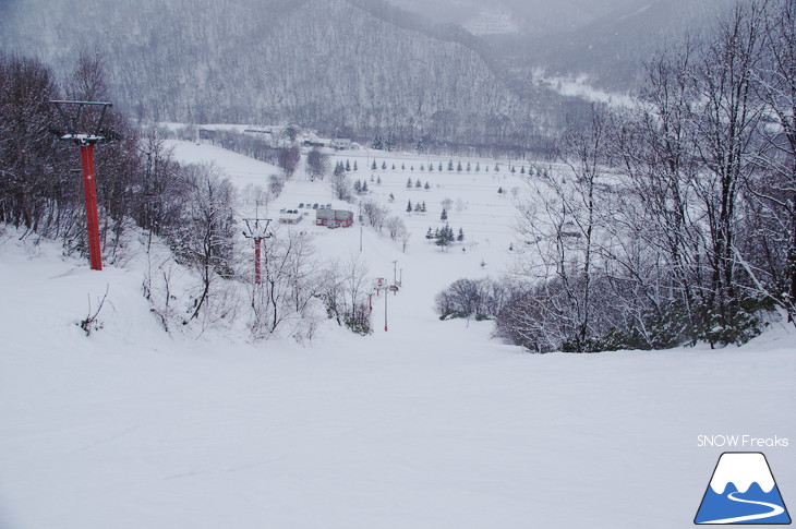 仁木町民スキー場 地形を生かしたコースが楽しいローカルゲレンデ！
